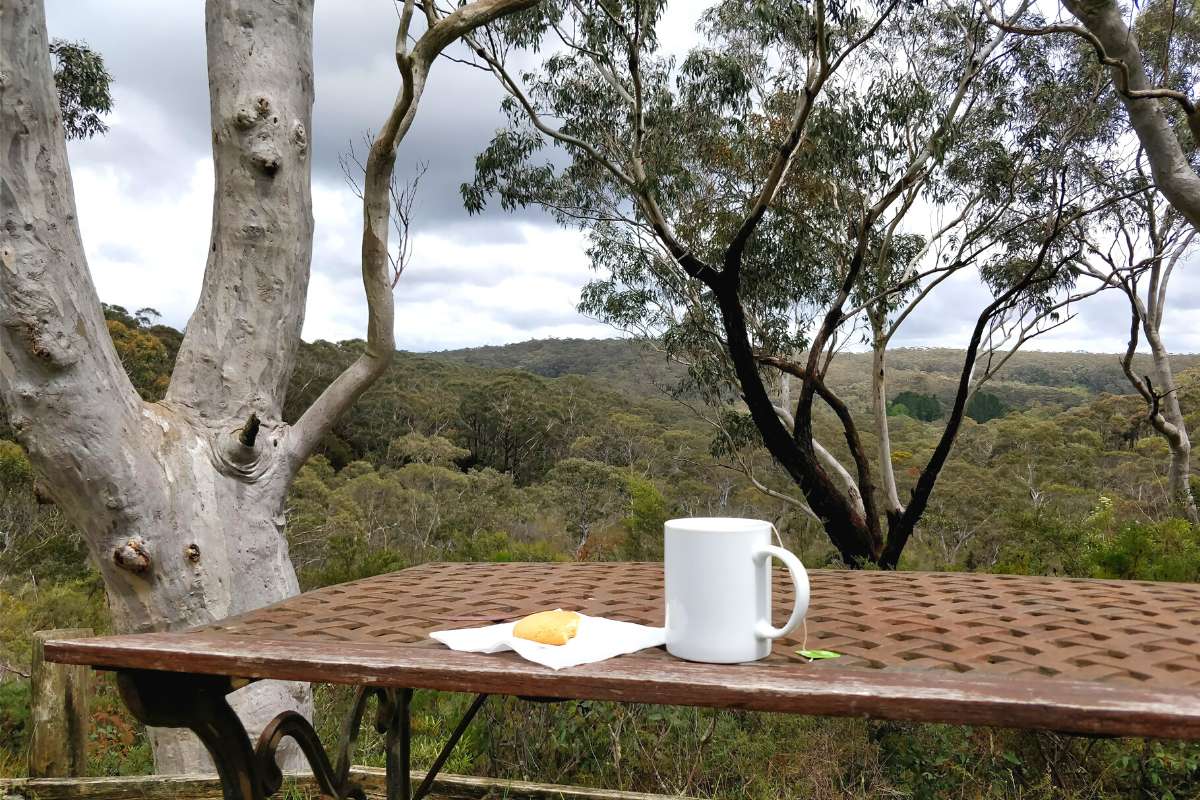 Feeding Your Curiosities