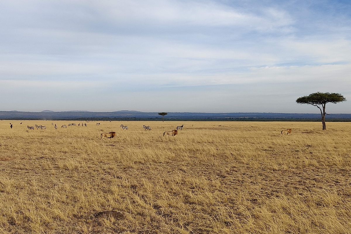 Nairobi Through My Lens